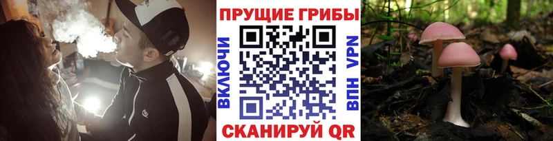 Галлюциногенные грибы мухоморы  Рославль 