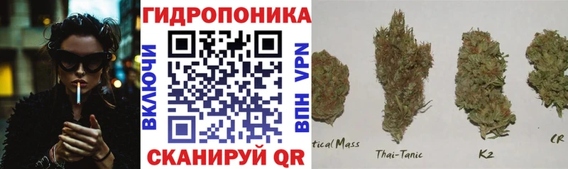 Канабис марихуана  купить наркотик  Рославль 